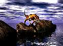 fishin.jpg